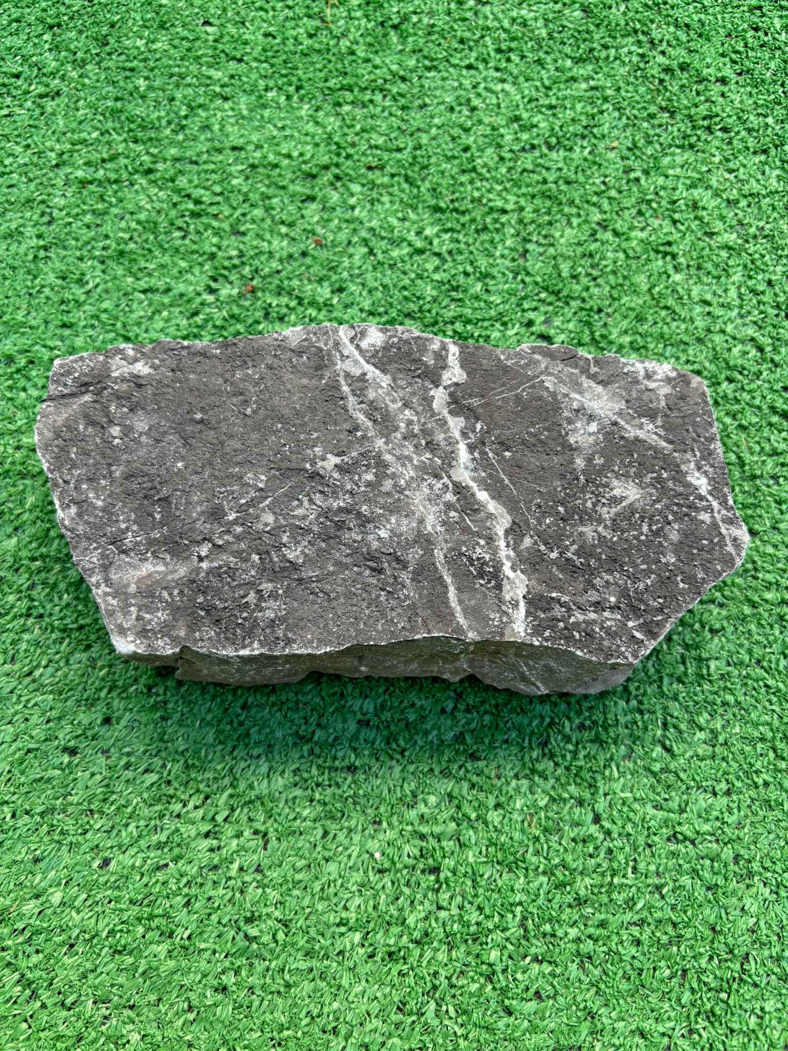Dunkle Natursteinplatte im Garten